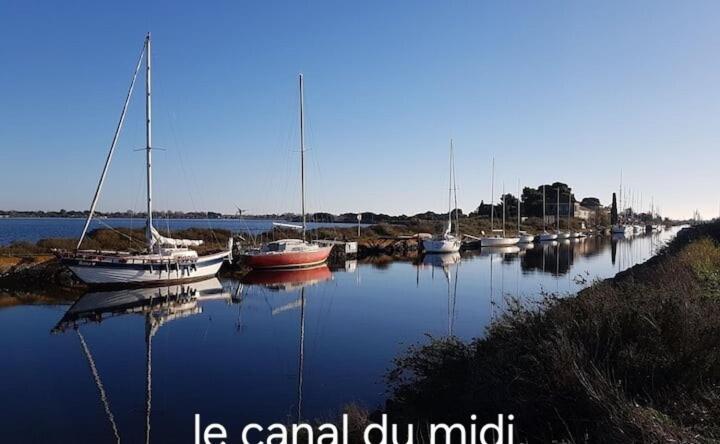 Le Corinthe - Appt Classe 3 Etoiles Et Climatise มาร์เซย็อง ภายนอก รูปภาพ